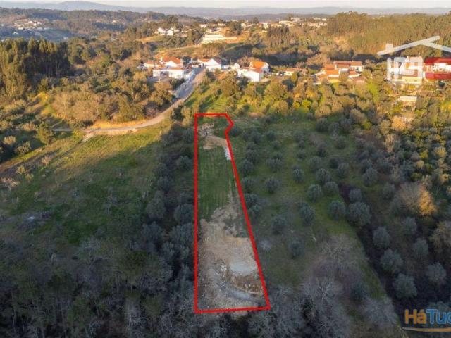 Terreno para agricultura | 26063517523