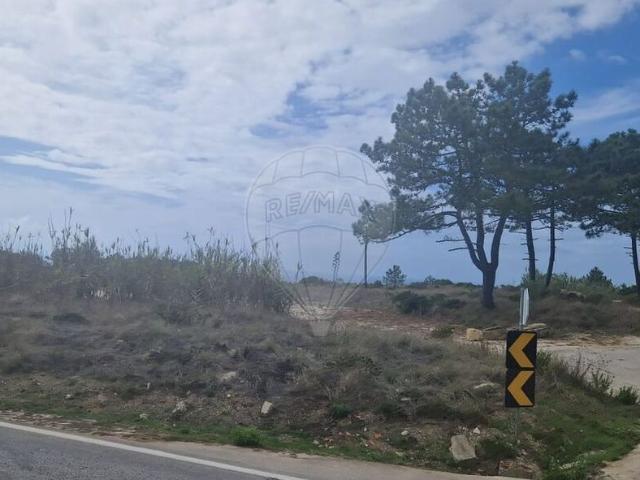 Terreno para arrendar em Magoito