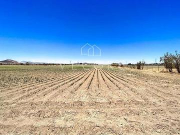 TERRENO PARA DESARROLLAR EN VENTA CERCA DE PLAZA VD CALANDRIAS, ZAPOPAN