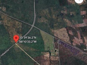 Terreno para desarrollo Valladolid Yucatan