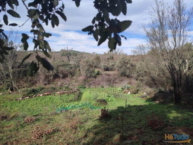 Terreno para horta em Monsanto | 26063948925