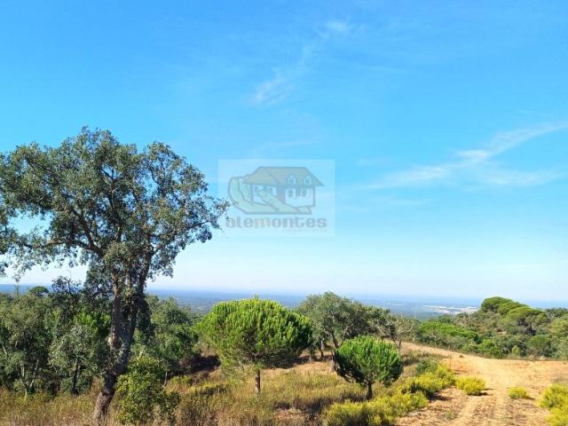 Terreno para habitação e Turismo Rural PROJECTO APROVADO e VISTA LAGOA