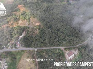 Terreno para inversión sobre Carr. México Tuxpan en Xicotepec de Juárez