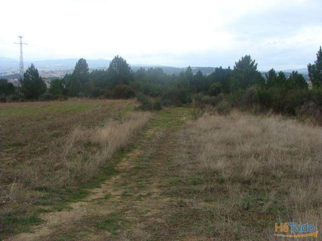 Terreno para Loteamento | 26060200845