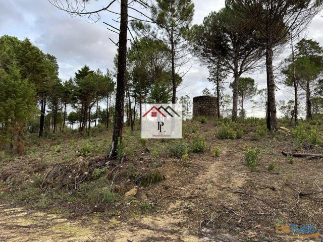 Terreno para loteamento em Antanhol Coimbra V811MA | 26083765033