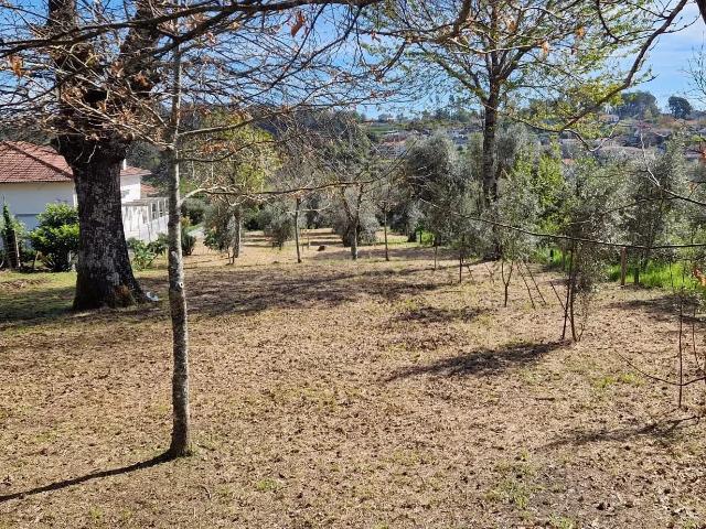 Terreno para moradia em Sarzedelo, Viseu