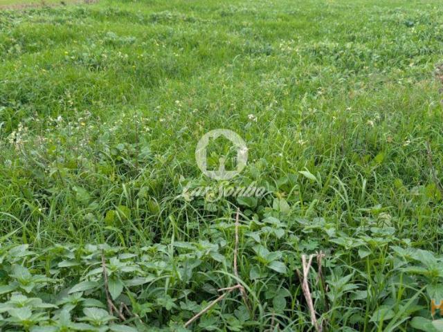 Terreno para moradias com 6.700m2 em Vilar, Vila do Conde | 26064067939