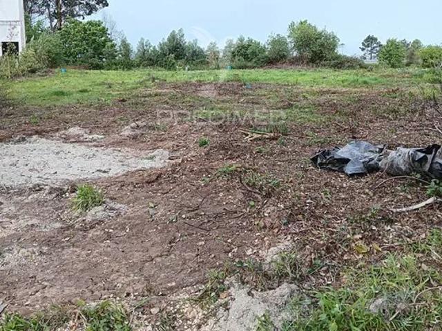 Terreno para possivel Atividade industrial Sobreiro