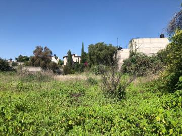 Terreno para proyecto habitacional