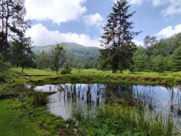 Terreno para rancho cerca de Avándaro con agua de manantial y poza natural