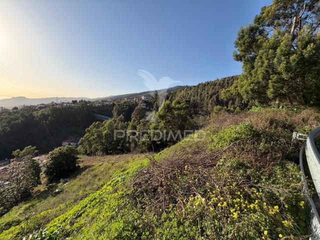 Terreno para um projeto de Turismo Rural, bangalôs