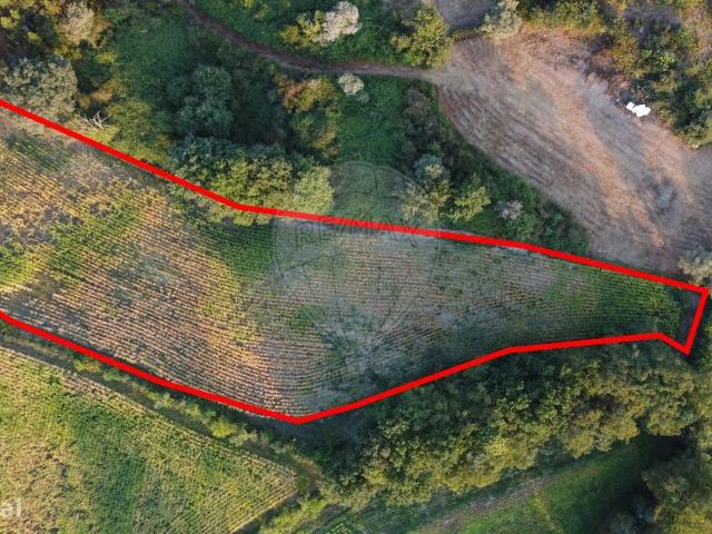 Terreno para venda