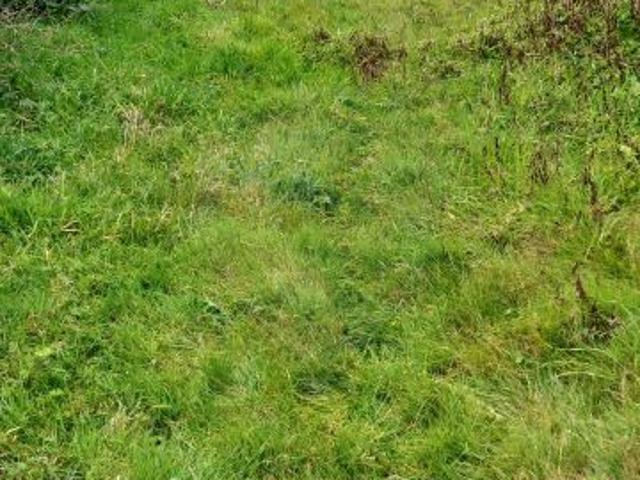 Terreno para venda