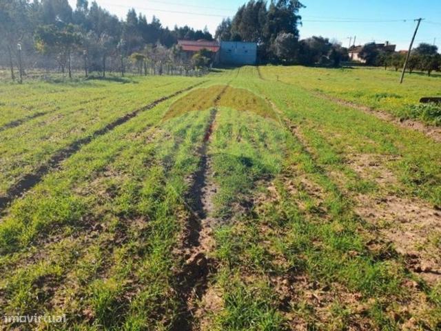 Terreno para venda