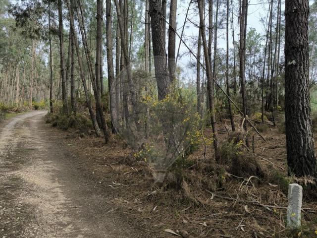 Terreno para venda