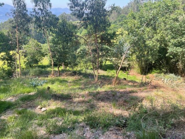 Terreno para venda