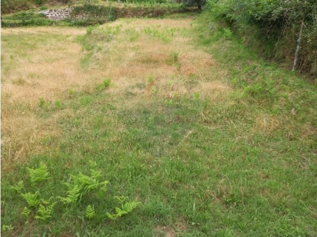 Terreno para venda