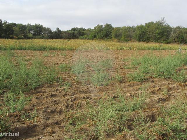 Terreno para venda