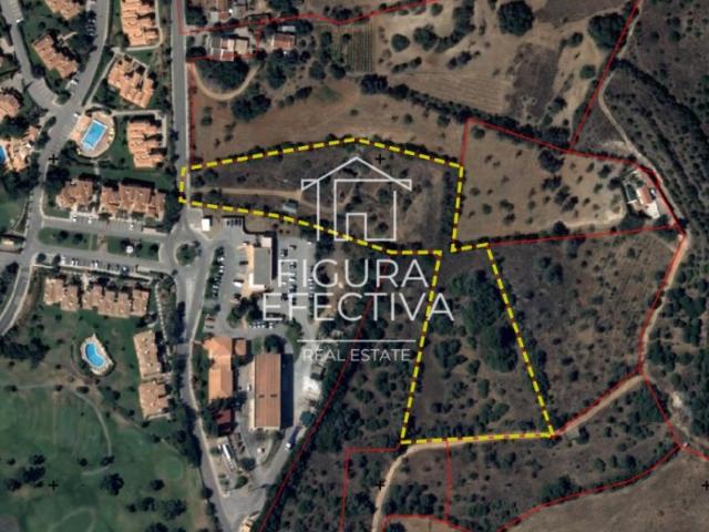 Terreno para venda com 15.000 m² e Ruína