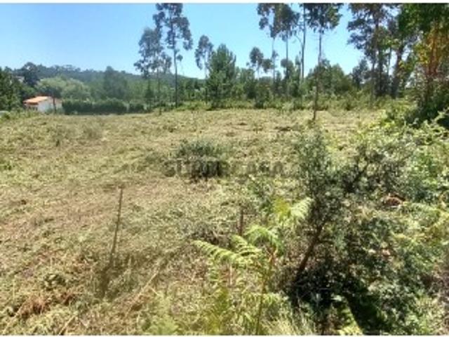 Terreno para venda a poucos minutos de Oliveira do Bairro