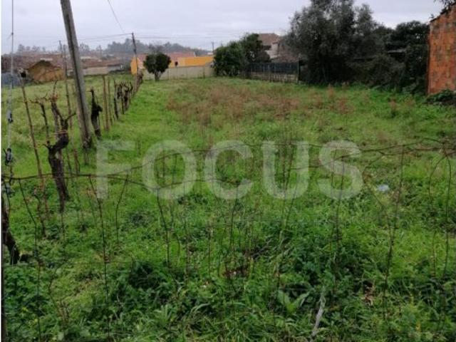 Terreno para venda Águeda