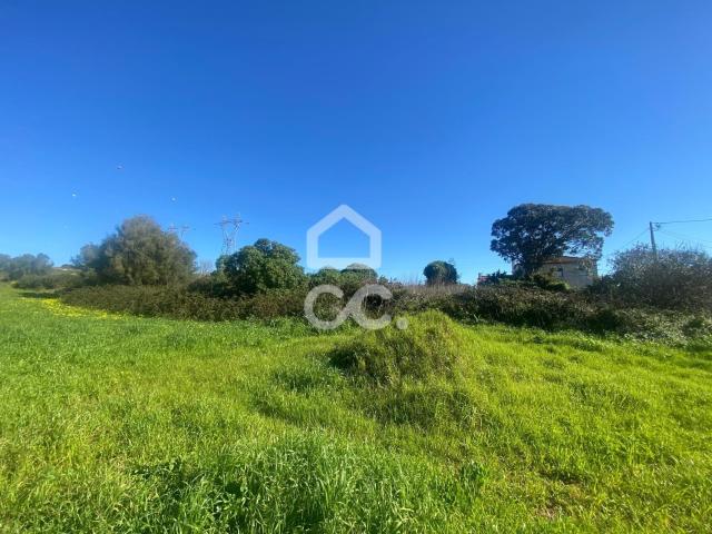 Terreno 4.720 m² Rio de Mouro | Construção Industrial/Habitação