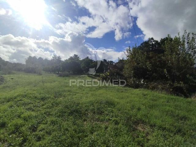Terreno para venda em concelho de Chamusca, Santarém, Portugal