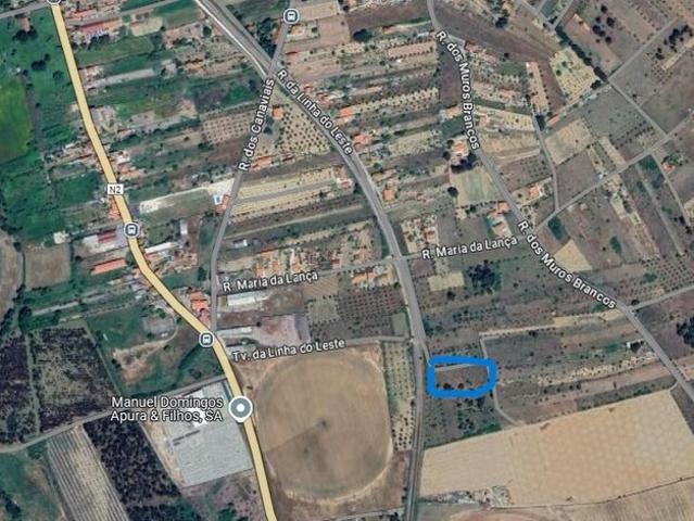 Terreno para venda em concelho de Abrantes, Santarém, Portugal