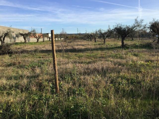 Terreno para venda em concelho de Abrantes, Santarém, Portugal