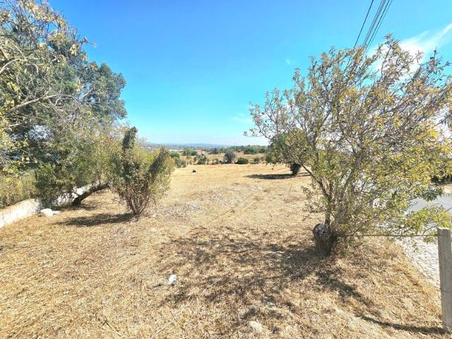 Terreno para venda em concelho de Albufeira, Faro, Portugal
