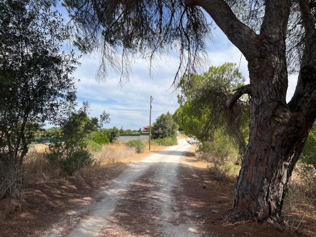 Terreno para venda em concelho de Albufeira, Faro, Portugal