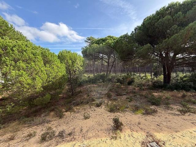 Terreno para venda em Charneca de Caparica, concelho de Almada, Setúbal, Portugal