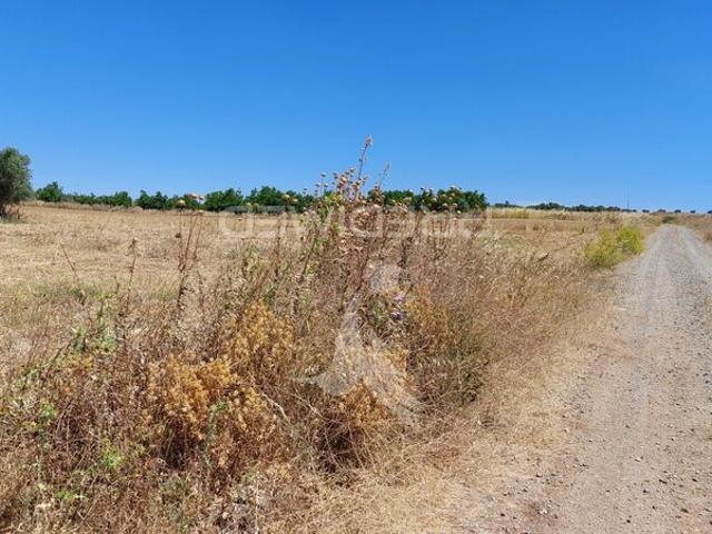 Terreno para venda em concelho de Beja, Beja, Portugal