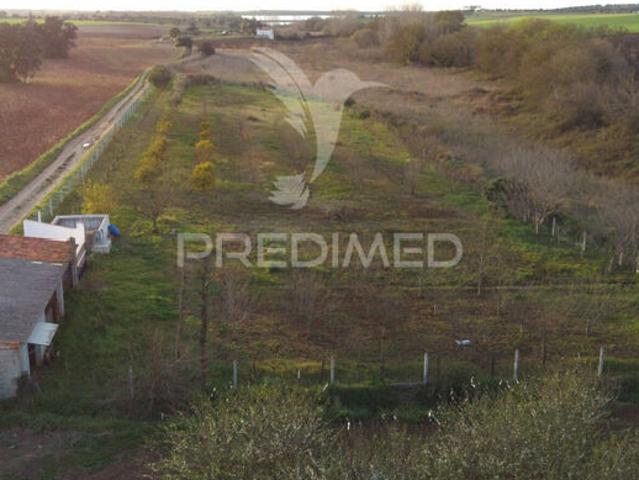 Terreno para venda em concelho de Beja, Beja, Portugal