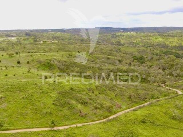 Terreno para venda em concelho de Grândola, Setúbal, Portugal