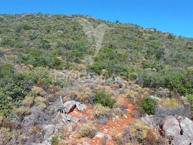 Terreno para venda em concelho de Olhão, Faro, Portugal