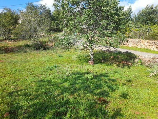 Terreno para venda em concelho de Loulé, Faro, Portugal