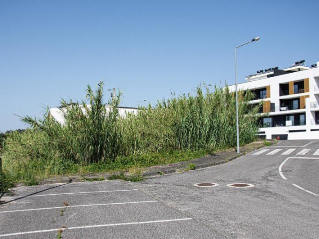 Terreno para venda em concelho de Leiria, Leiria, Portugal