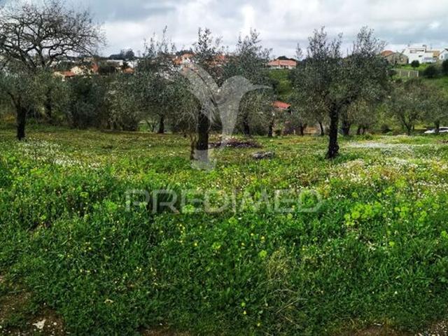Terreno para venda em concelho de Leiria, Leiria, Portugal