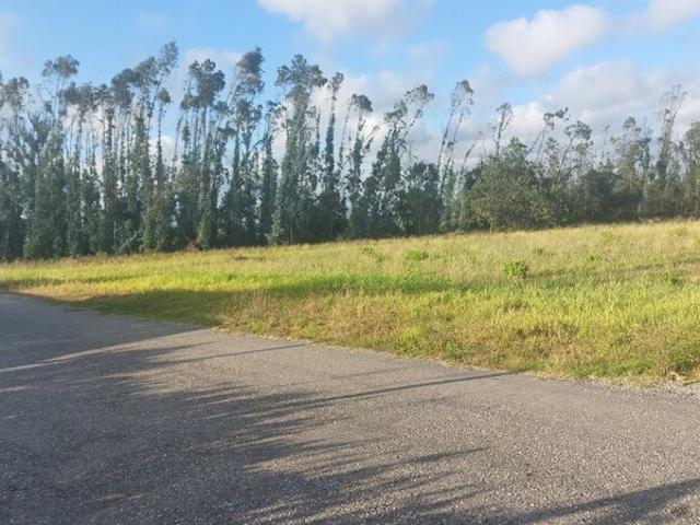 Terreno para venda em Carvide, concelho de Leiria, Leiria, Portugal