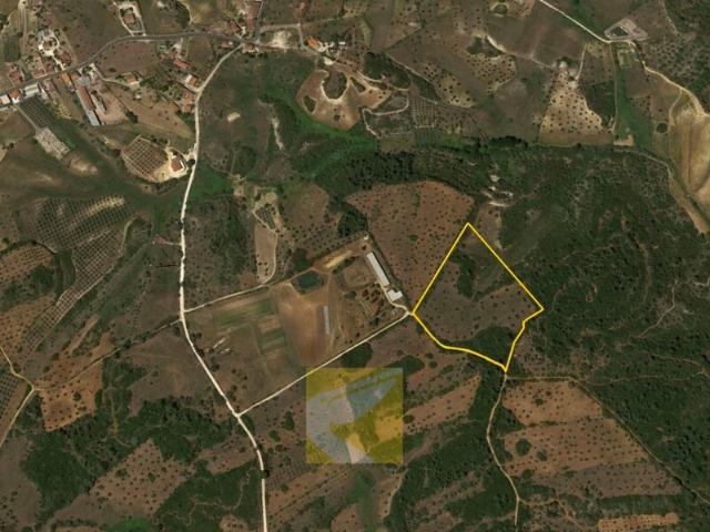 Terreno para venda em concelho de Santarém, Santarém, Portugal