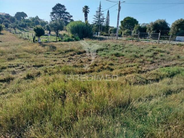 Terreno para venda em concelho de Torres Novas, Santarém, Portugal