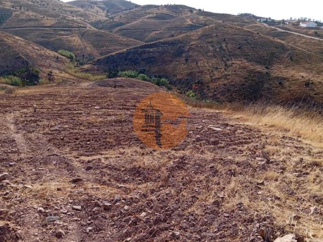 Terreno para venda em Conceição, concelho de Tavira, Faro, Portugal