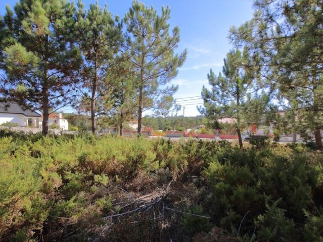 Terreno para venda em Costa de Prata, Foz do Arelho, concelho de Caldas da Rainha, Leiria, Portugal