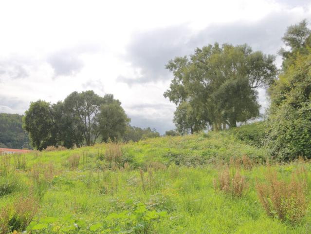 Terreno para venda em Costa de Prata, Salir de Matos, concelho de Caldas da Rainha, Leiria, Portugal