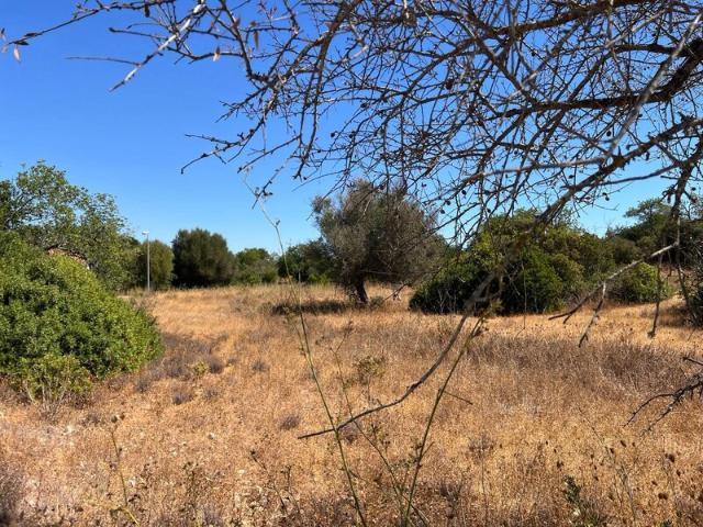 Terreno para venda em Canais, Ferreiras, concelho de Albufeira, Faro, Portugal