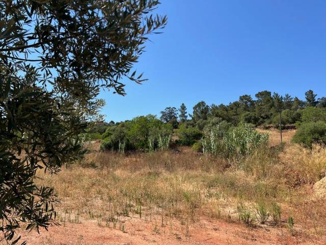 Terreno para venda em Amorosa, São Bartolomeu de Messines, concelho de Silves, Faro, Portugal
