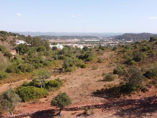 Terreno para venda em Amorosa, São Bartolomeu de Messines, concelho de Silves, Faro, Portugal