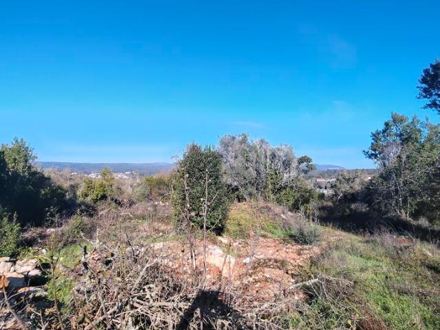 Terreno para venda em Ansião, concelho de Ansião, Leiria, Portugal
