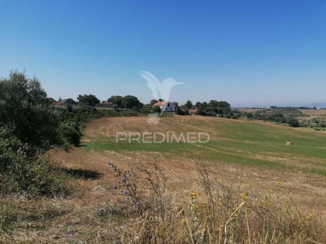 Terreno para venda em Abitureiras, concelho de Santarém, Santarém, Portugal